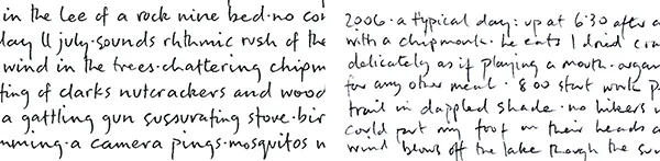 Tony Foster close-up